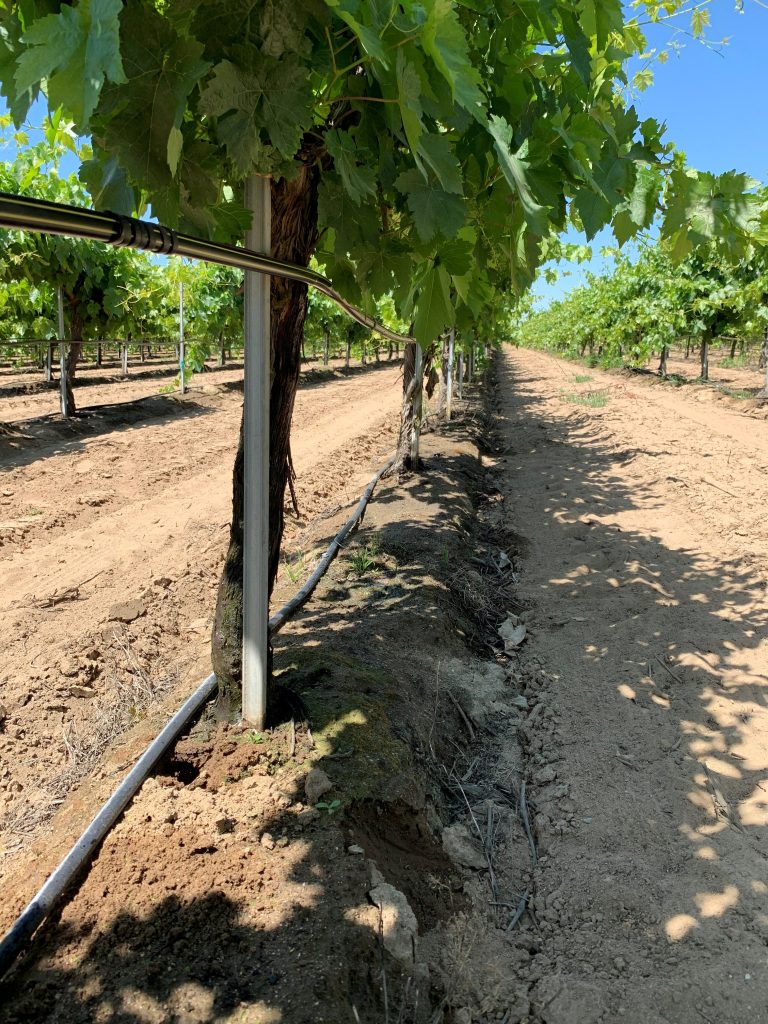 Attention to Irrigation System Maintenance Pays Dividends Attention to Irrigation System Maintenance Pays Dividends