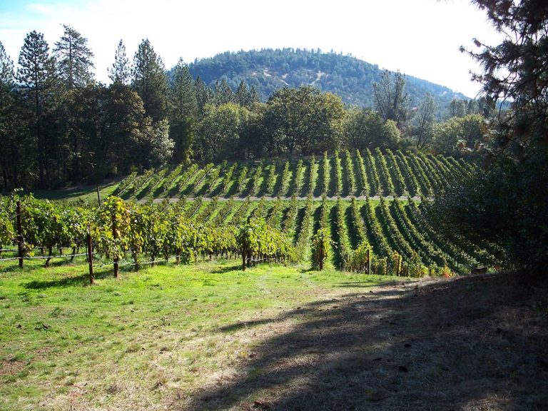Hawk and Horse Vineyards Combines Unique Traditions with Biodynamic Farming Hawk and Horse Vineyards Combines Unique Traditions with Biodynamic Farming
