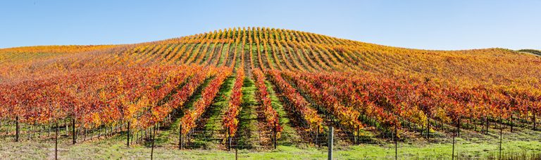 Regulatory and Legislative Updates Affecting Vineyards and Wineries Regulatory and Legislative Updates Affecting Vineyards and Wineries