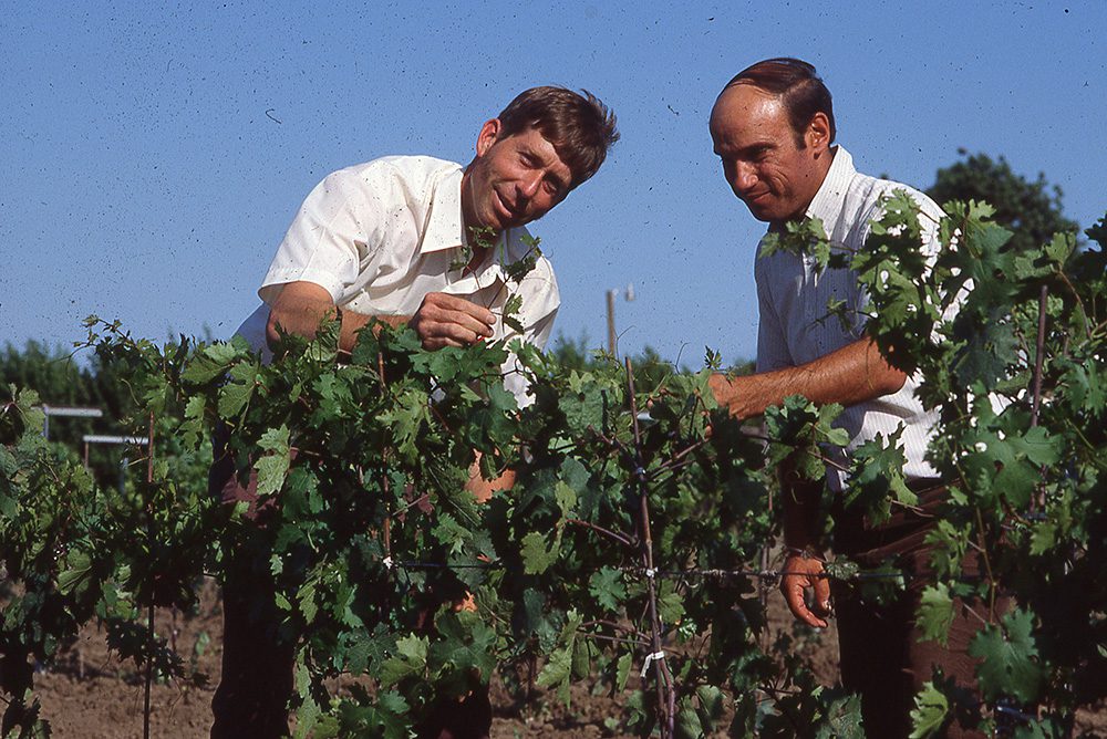 Past, Present and Future of the USDA Grape Breeding Program at the San