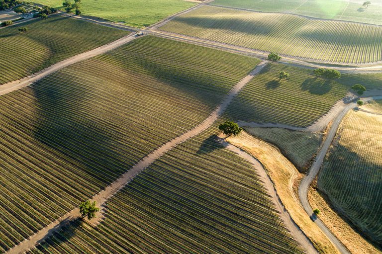 Considerations for Selling Your Vineyard or Winery Considerations for Selling Your Vineyard or Winery