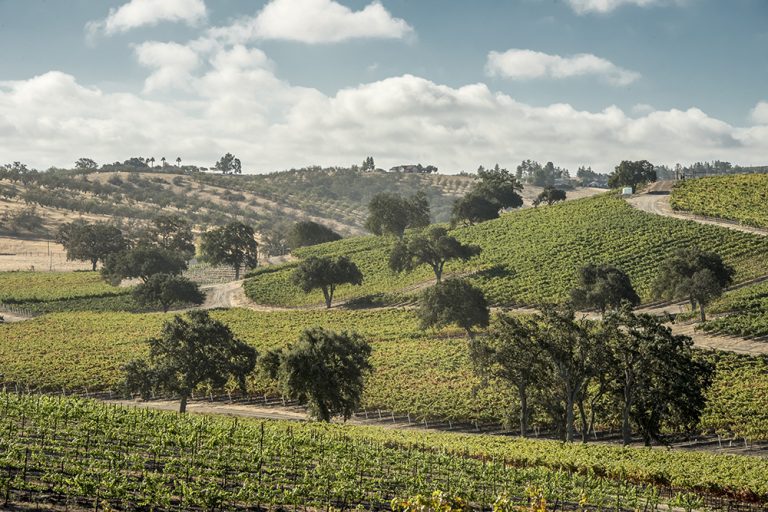 Wine Country Heroes Wine Country Heroes
