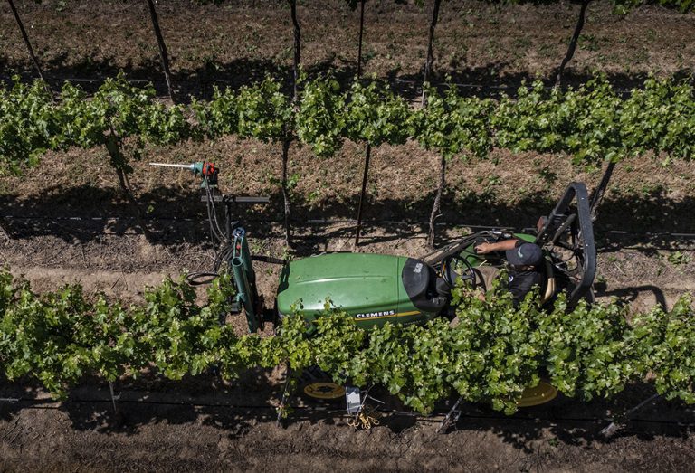 ‘Touch-Free’ Vineyard Proved Concept ‘Touch-Free’ Vineyard Proved Concept
