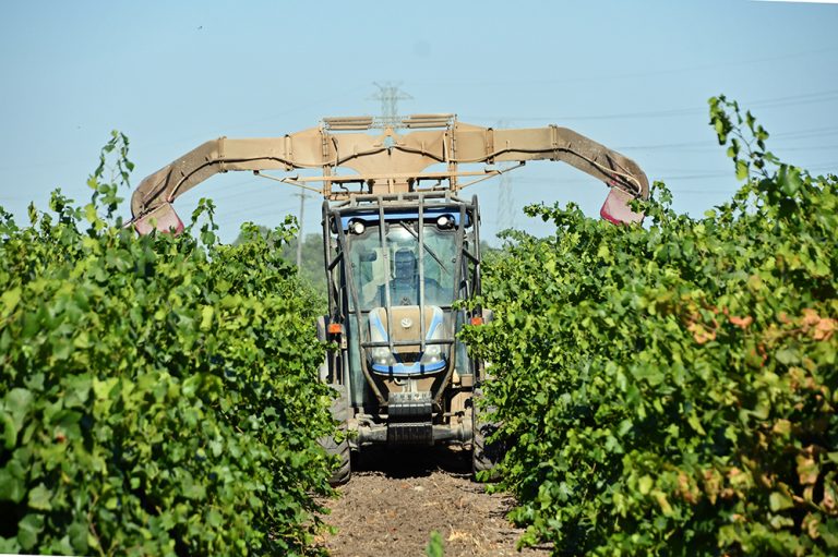 Putting Fungicides to the Test Putting Fungicides to the Test
