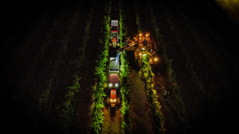 2024 Grape and Wine Outlook: Complex and Varied 2024 Grape and Wine Outlook: Complex and Varied