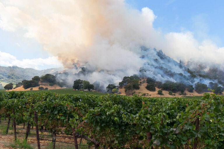 Winemaking in Today’s Climate Conditions Winemaking in Today’s Climate Conditions