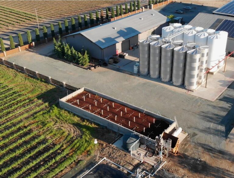Of Worms and Wine: Low-Tech Vermifiltration Systems Tap Red Wigglers to Treat Wastewater Of Worms and Wine: Low-Tech Vermifiltration Systems Tap Red Wigglers to Treat Wastewater