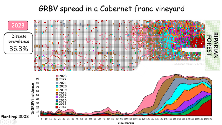 Grapevine Red Blotch Virus Requires a Different Approach Than Other Maladies Grapevine Red Blotch Virus Requires a Different Approach Than Other Maladies