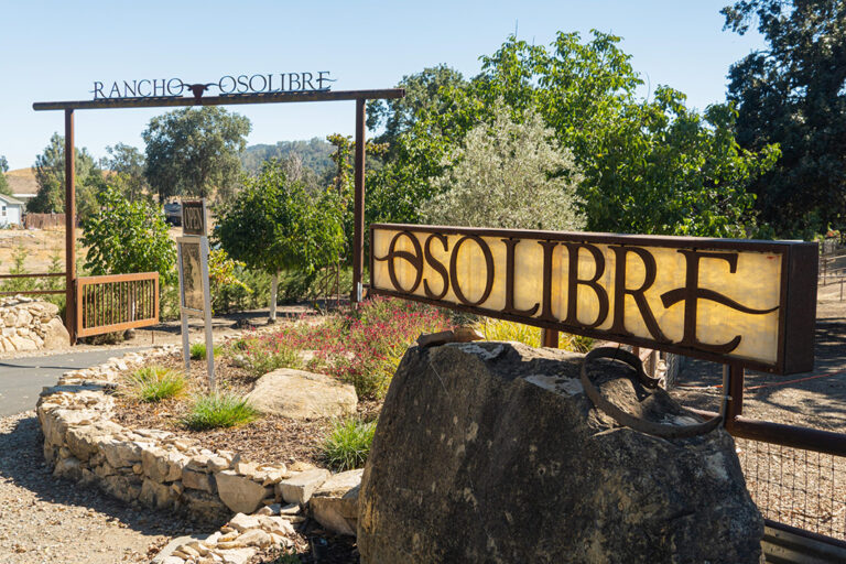 Blending Wine and Philanthropy at Rancho Oso Libre: The Social Impact of Sustainable Wine Blending Wine and Philanthropy at Rancho Oso Libre: The Social Impact of Sustainable Wine