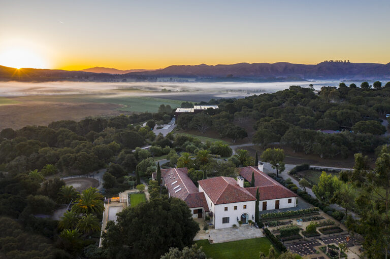 Winery Visitation Data Paints a Rosier Picture than Doom and Gloom, Survey Shows Winery Visitation Data Paints a Rosier Picture than Doom and Gloom, Survey Shows