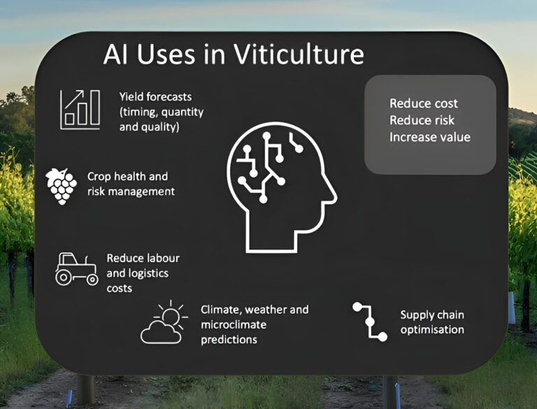 Grape Growers Grapple with Artificial Intelligence Potential and Reality